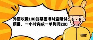 外面收费188的美团准时宝赔付项目，一小时完成一单利润200【仅揭秘】-晟哥学社资源库