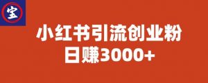 宝哥小红书引流创业粉,日赚3000+【揭秘】-晟哥学社资源库