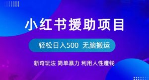 小红书援助项目新奇玩法,简单暴力,无脑搬运轻松日入500【揭秘】-晟哥学社资源库