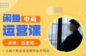 岳老师·闲鱼电商运营课,让每个粉丝宝宝都学会开网店-晟哥学社资源库