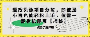 漫改头像项目分解,即使是小白也能轻松上手,仅需一部手机即可【揭秘】-晟哥学社资源库