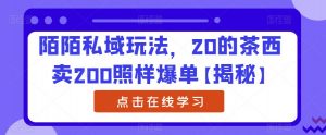 陌陌私域玩法，20的茶西卖200照样爆单【揭秘】-晟哥学社资源库