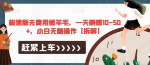 极速版无费用薅羊毛，一天躺赚10-50+，小白无脑操作【拆解】-晟哥学社资源库