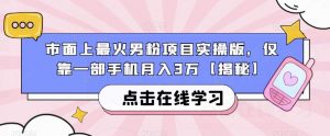 市面上最火男粉项目实操版，仅靠一部手机月入3万【揭秘】-晟哥学社资源库