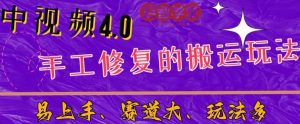 中视频4.0赛道：新手福音，一小时制作，三天过计划，7天看效果【揭秘】-晟哥学社资源库