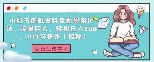 小红书虚拟资料全新思路玩法,流量巨大,轻松日入300+,小白可操作【揭秘】-晟哥学社资源库