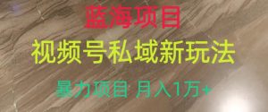 蓝海项目，视频号私域新玩法，暴力项目月入1万+【揭秘】-晟哥学社资源库