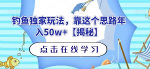 钓鱼独家玩法,靠这个思路年入50w+【揭秘】-晟哥学社资源库