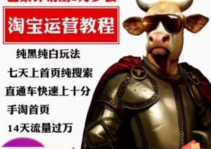 猫老师·淘系算法逆向解密,纯黑纯白玩法,七天上首页纯搜索,手淘首页14天流量过万-晟哥学社资源库