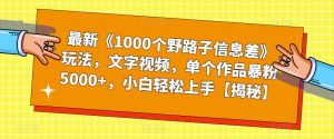 最新《1000个野路子信息差》玩法，文字视频，单个作品暴粉5000+，小白轻松上手【揭秘】-晟哥学社资源库