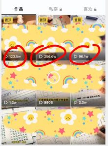 被忽视的冷门项目,随便写写字都能实现月入过万,每天半小时,适合0基础,手机可做【揭秘】-晟哥学社资源库