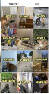 拆解:抖音盘点类中视频变现副业项目,视频版一条龙大解析分享给你-晟哥学社资源库