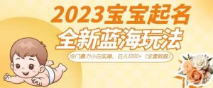 2023宝宝起名全新蓝海玩法，冷门暴力小白实操，日入1000+（全套教程）【揭秘】-晟哥学社资源库