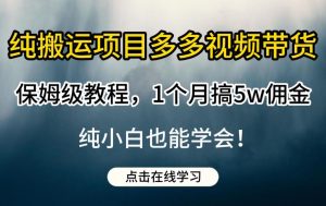 纯搬运项目多多视频带货保姆级教程，1个月搞5w佣金，纯小白也能学会【揭秘】-晟哥学社资源库