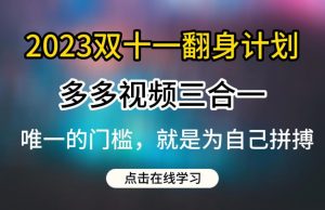 2023双十一翻身计划,多多视频带货三合一玩法教程【揭秘】-晟哥学社资源库