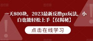 一天800块,2023最新反撸pz玩法,小白也能轻松上手【仅揭秘】-晟哥学社资源库