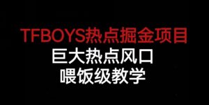 TFBOYS热点掘金项目，巨大热点风口，喂饭级教学-晟哥学社资源库