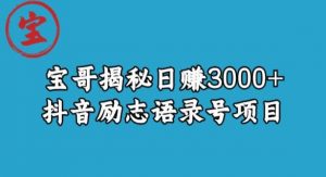 宝哥揭秘日赚3000+抖音励志语录号短视频变现项目-晟哥学社资源库