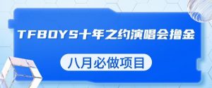最新蓝海项目,靠最近非常火的TFBOYS十年之约演唱会流量掘金,八月必做的项目【揭秘】-晟哥学社资源库