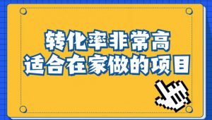 小红书虚拟电商项目:从小白到精英(视频课程+交付手册)-晟哥学社资源库