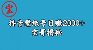 宝哥抖音壁纸号日赚2000+，不需要真人露脸就能操作【揭秘】-晟哥学社资源库