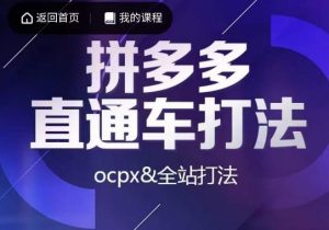 互力·拼多多直通车打法，ocpx&全站打法-晟哥学社资源库