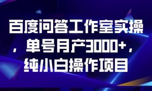 百度问答工作室实操,单号月产3000+,纯小白操作项目【揭秘】-晟哥学社资源库