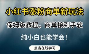 小红书涨粉商单新玩法,保姆级教程,商单接到手软,纯小白也能学会【揭秘】-晟哥学社资源库