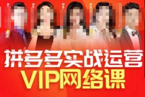 推易拼多多VIP全套直播课程，拼多多店铺实操玩法+实战玩法选款内功+直通车高阶等-晟哥学社资源库
