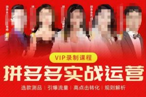 2023推易拼多多实战运营,选款测品、引爆流量、高点击转化、规则解析-晟哥学社资源库