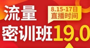 秋秋线上流量密训班19.0,打通流量关卡,线上也能实战流量破局-晟哥学社资源库