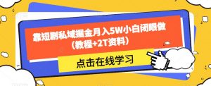 靠短剧私域掘金月入5W小白闭眼做（教程+2T资料）-晟哥学社资源库