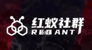 社群运营：红蚁社群【48节落地系统课程+2000人高端社群】-晟哥学社资源库