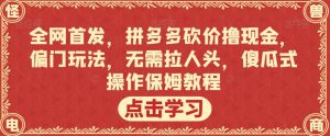 全网首发，拼多多砍价撸现金，偏门玩法，无需拉人头，傻瓜式操作保姆教程【揭秘】-晟哥学社资源库