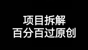 项目拆解赛道百分百过原创【揭秘】-晟哥学社资源库