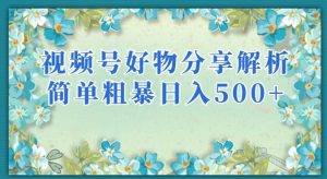 视频号好物分享解析，简单粗暴可以批量方大的项目【揭秘】-晟哥学社资源库