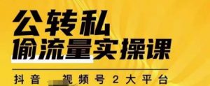 群响公转私偷流量实操课,致力于拥有更多自持,持续,稳定,精准的私域流量!-晟哥学社资源库
