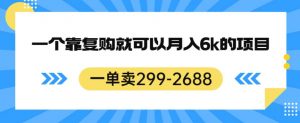 一单卖299-2688，一个靠复购就可以月入6k的暴利项目【揭秘】-晟哥学社资源库