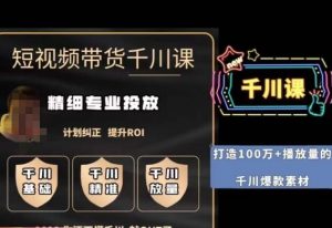短视频带货-千川专业投放课，​精细化专业投放，计划纠正，提升ROI-晟哥学社资源库