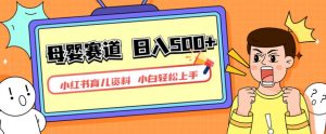 小红书育儿资料,一部手机可操作,多种变现方式,日入500+,私域变现,长期可持续项目【揭秘】-晟哥学社资源库