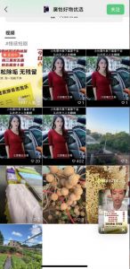 外面收费198的最新视频号连怼技术，条条原创，条条爆单【揭秘】-晟哥学社资源库