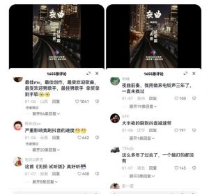 副业拆解：抖音杰伦音乐号涨粉变现项目，视频版一条龙实操玩法分享给你-晟哥学社资源库