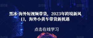 黑冰·海外短视频带货，2023年跨境新风口，海外小黄车带货新机遇-晟哥学社资源库