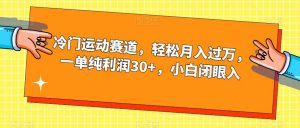冷门运动赛道，轻松月入过万，一单纯利润30+，小白闭眼入【揭秘】-晟哥学社资源库