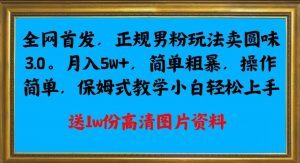 全网首发正规男粉玩法卖圆味3.0,月入5W+,简单粗暴,操作简单,保姆式教学,小白轻松上手-晟哥学社资源库