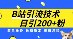 B站引流技术：每天引流200精准粉，简单操作，长期稳定，规避风险-晟哥学社资源库