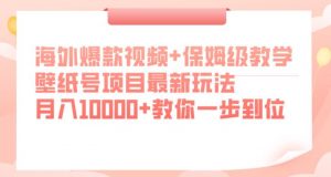 海外爆款视频+保姆级教学,壁纸号项目最新玩法,月入10000+教你一步到位【揭秘】-晟哥学社资源库