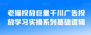 老猫投放巨量千川广告投放学习实操系列基础逻辑-晟哥学社资源库