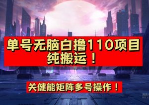 9月全网首发，单号直接白撸110！可多号操作，无脑搬运复制粘贴【揭秘】-晟哥学社资源库