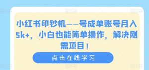 小红书印钞机——号成单账号月入5k+,小白也能简单操作,解决刚需项目【揭秘】-晟哥学社资源库